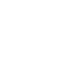 Steamulation Shisha Logo